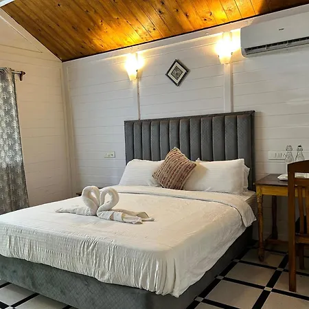 King Villa Goa-2